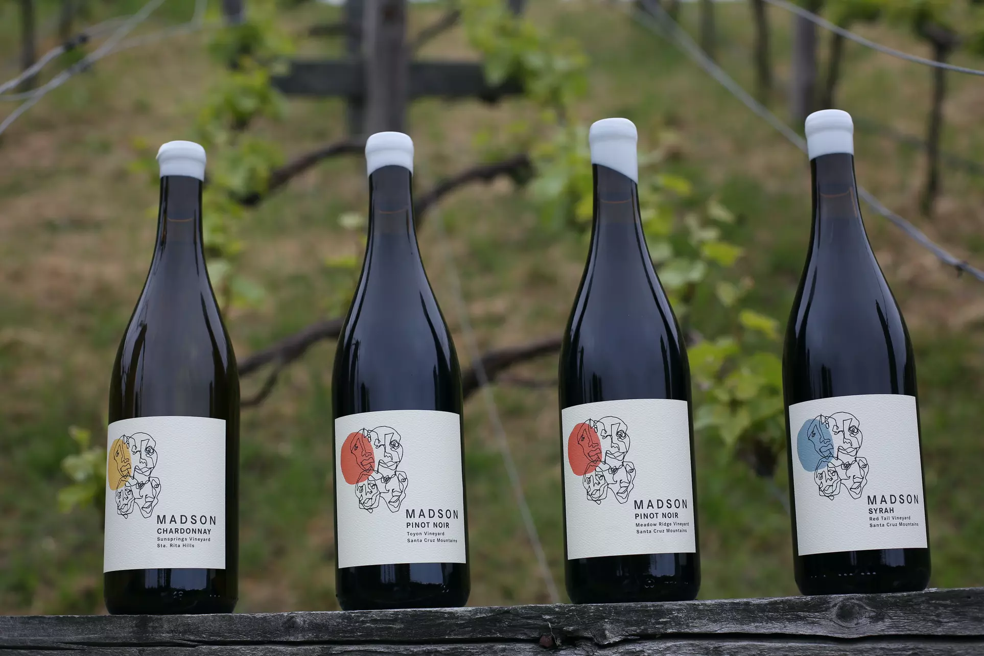 Up to 50% Off on Wine Tasting at Madson Wines - Primary Image