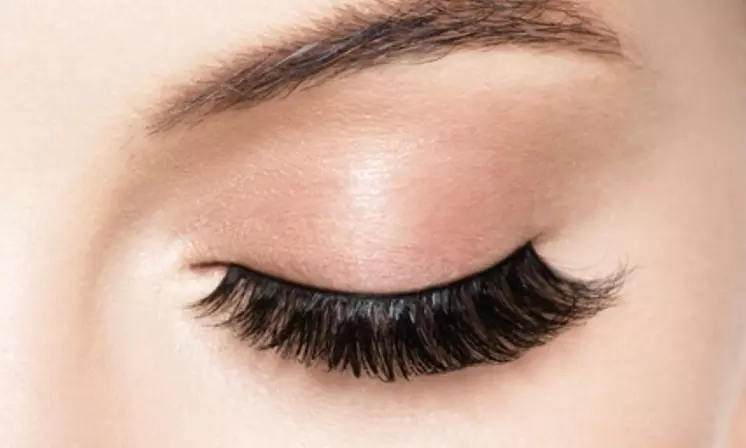 Up to 32% Off on Eyelash Extensions at Lash Castle INC. - Primary Image
