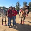 Image 1: Romantic Valentine's Day Horseback Ride – Starlight Acres