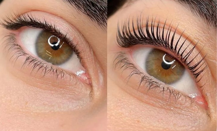 Image 1: Get Eyebrow Lamination w/ Tint or Eyelash Tinting w/ Lift Sessions!