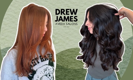 Color Retouch with Bond-Building & Strengthening Refresh & Women's Haircut & Style - Drew James Aveda Salon