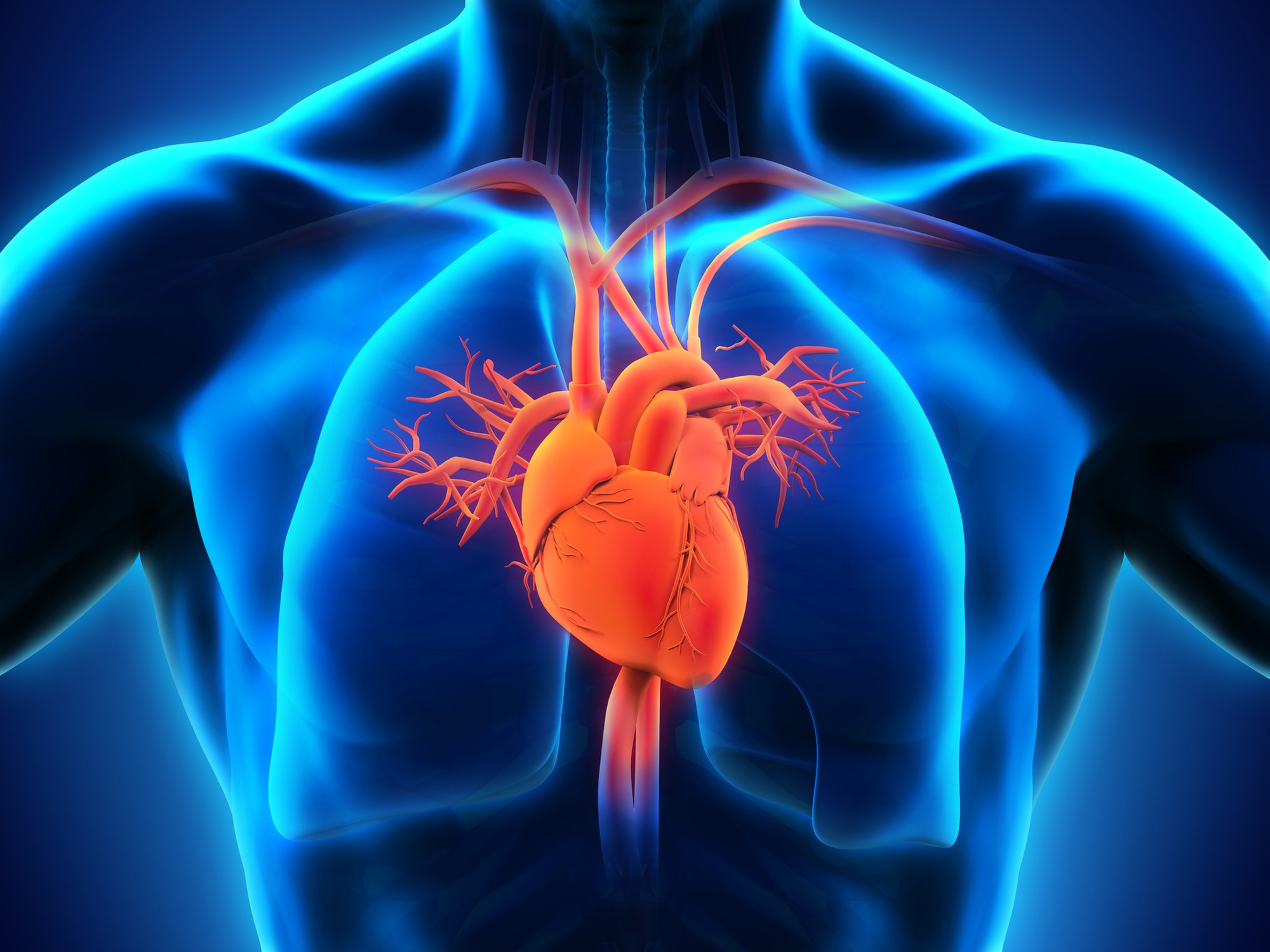 Heart Scan/Calcium Score and Consultation for Two w/Low-Radiation Tech