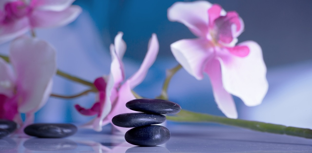 60 Minute Therapeutic Massage or Comprehensive Digital Analysis