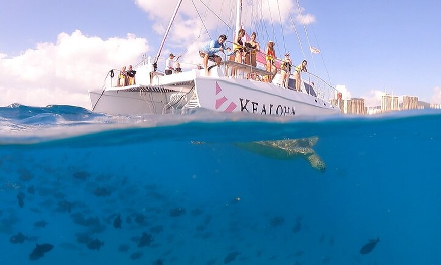 Image 5: Waikiki's Turtle Snorkeling Boat Cruise at Waikiki Snorkel Company
