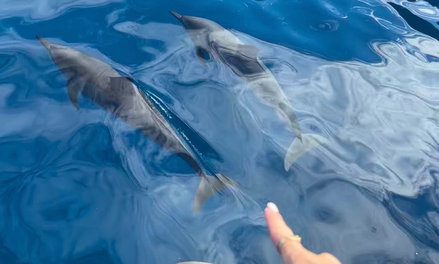 Image 4: Private Waikiki Boat Charter – Customizable Ocean Fun in Honolulu, HI