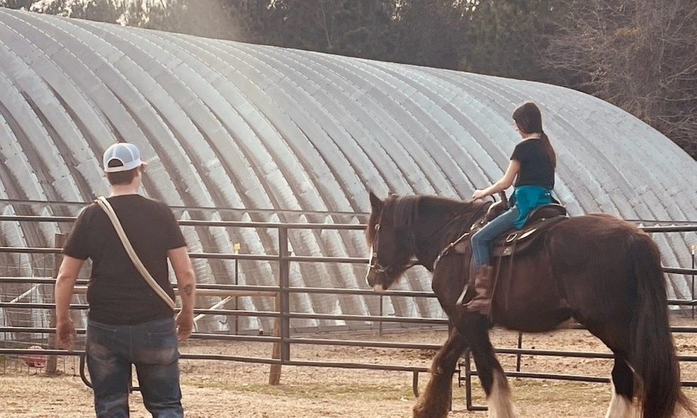 Explore Horseback Riding with Flexible Lesson Packages