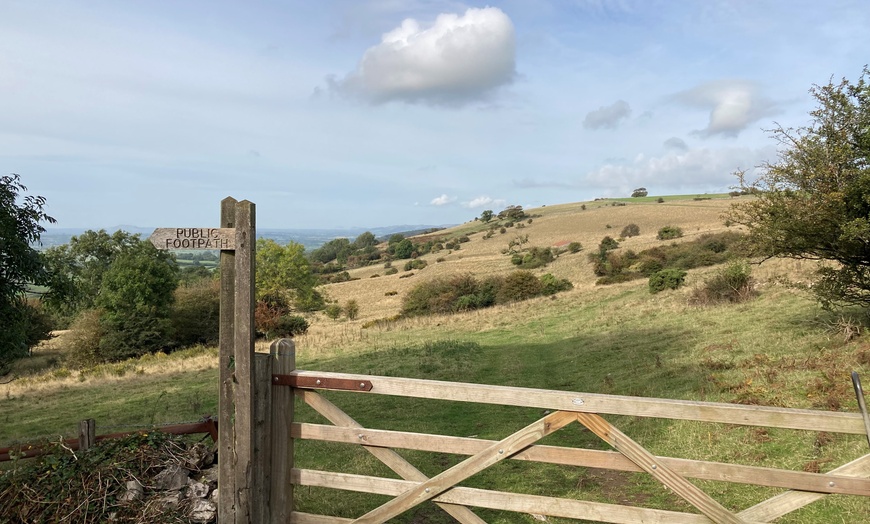 Image 1: Wildlife Experience in the Mendips by Wilder Skies