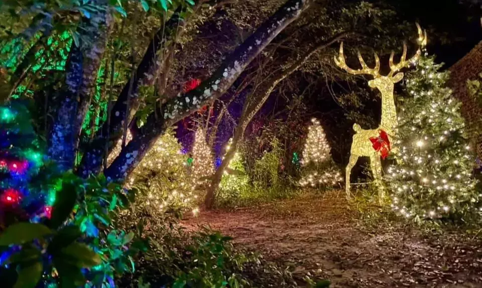 Country Christmas at HarvestMoon Fun Farm - Holiday Family Fun