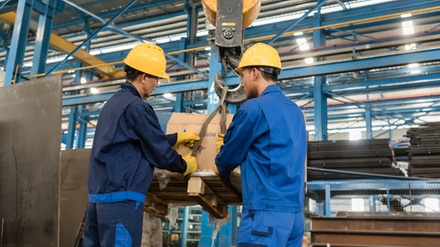 Manual Handling, Rigging and Lifting & Safety in the Workplace: 8 in 1 Bundle - Online Course - NextGen Learning