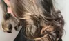 Up to 64% Off on Salon - Hair Color / Highlights at B. Michele Beauty