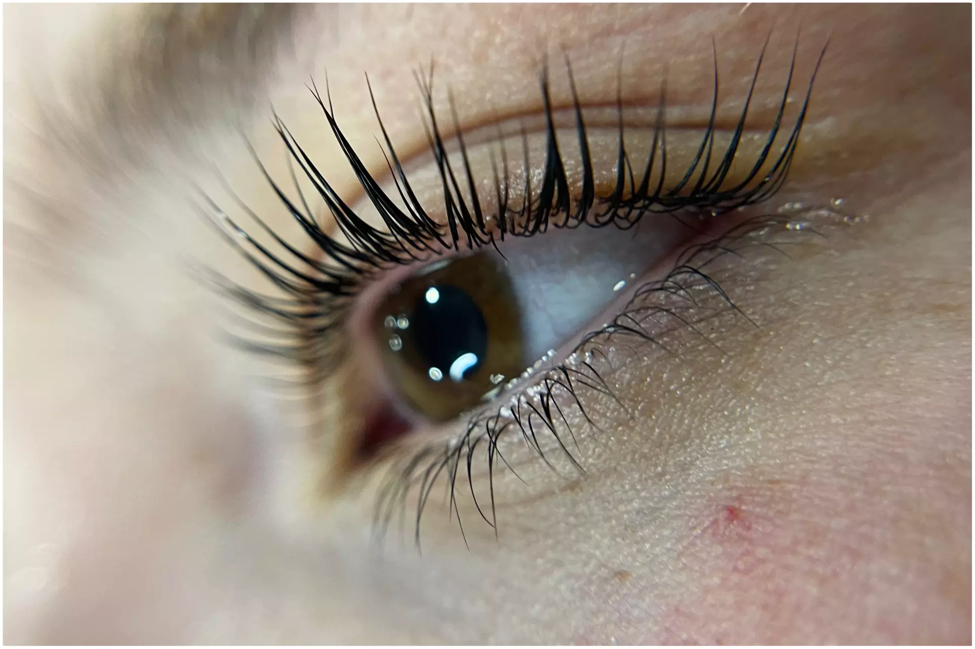 Lash Love: Natural & Dramatic Styles with Keratin Lift