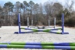 Up to 35% Off on Horse Back Riding - Recreational at Celestial Riding Academy - Second Medium