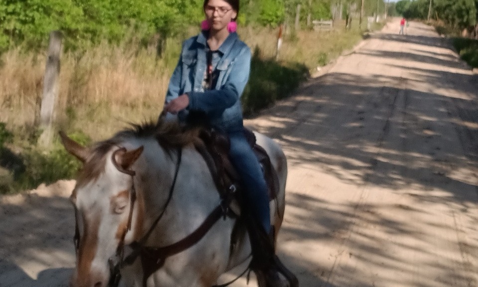 Explore Guided Horseback Riding with Personal Training Sessions