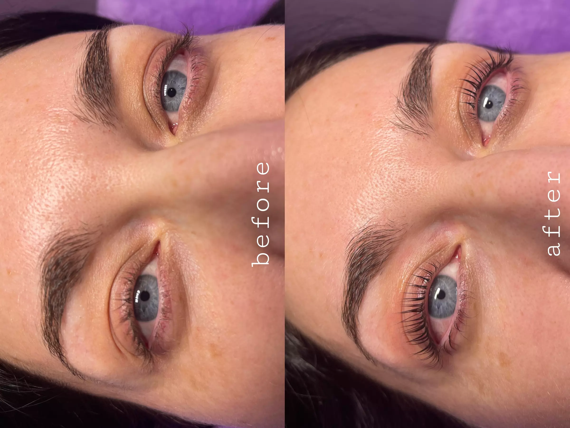 Up to 35% Off on Eyelash Tinting at Lashed by Lex LLC - Primary Image
