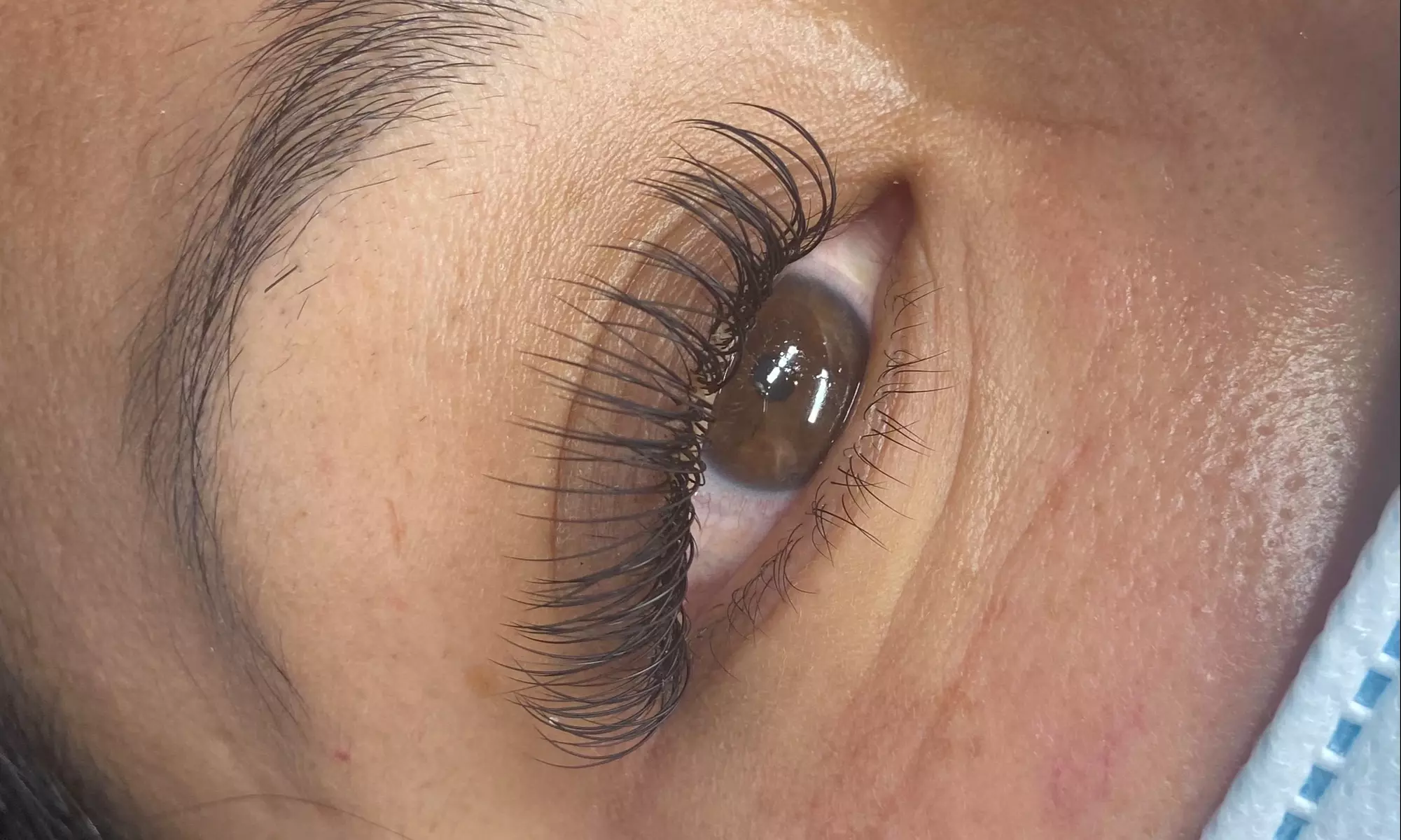 Up to 42% Off on False Eyelash Application at Butterfly Kisses by Milly - Second Medium