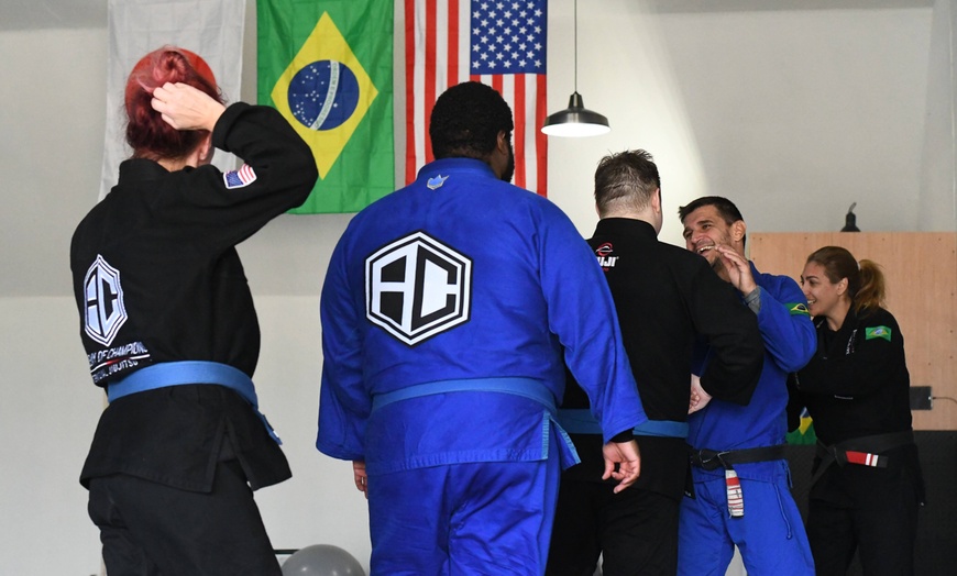 Martial Arts Training - Academy Of Champions Jiu Jitsu | Groupon