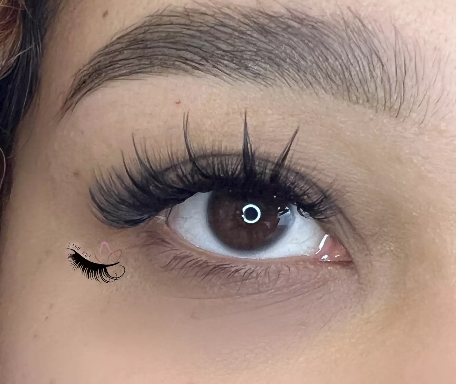 Up to 20% Off on Eyelash Extensions at Lashhut - Primary Image