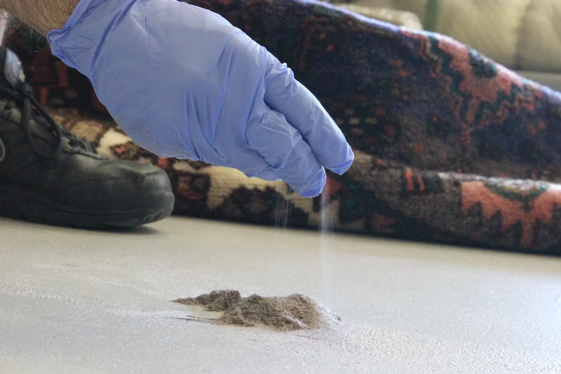 $67 for $150 Toward Oriental & Area Rug Services