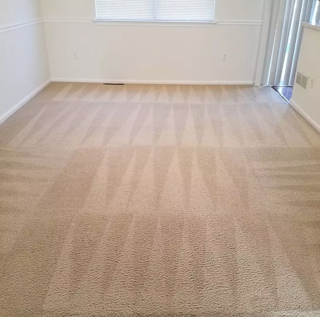 Up to 44% Off on Carpet Cleaning at The Carpet Kingz