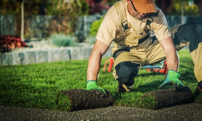 Transform Your Garden: Unleash the Power of Fertilization Magic!