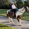 Image 2: Up to 51% Off on Horse Back Riding at WB Family Ranch