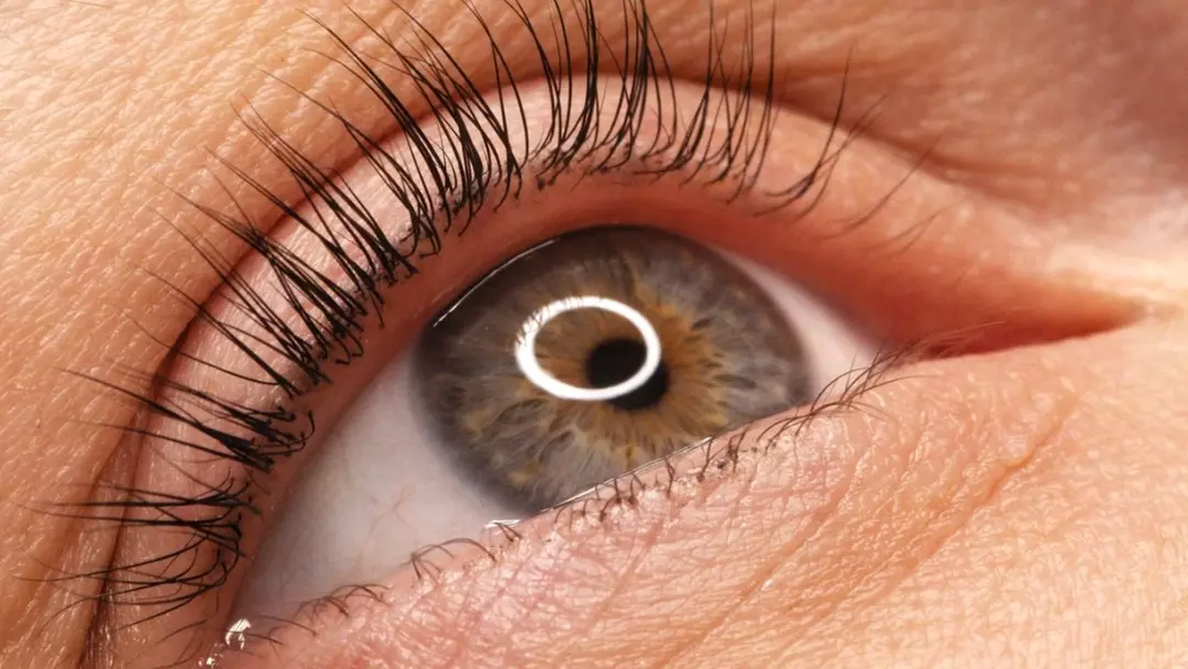 Up to 46% Off on Eyelash Perm at Gean Beauty Salon - Primary Image