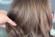 Wild Roots Hair Artistry Studio Offers Woman's Haircut, Color, Highlights, Balayage Package (Up to 45% Off) - Second Medium