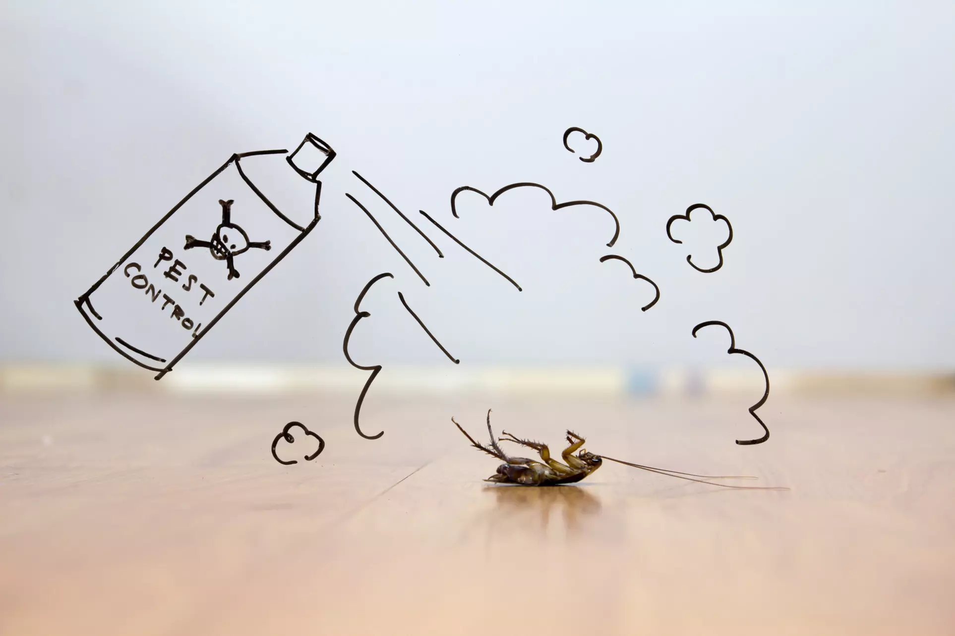 Up to 64% Off on Exterminator at Good Nature Pest Control - Primary Image