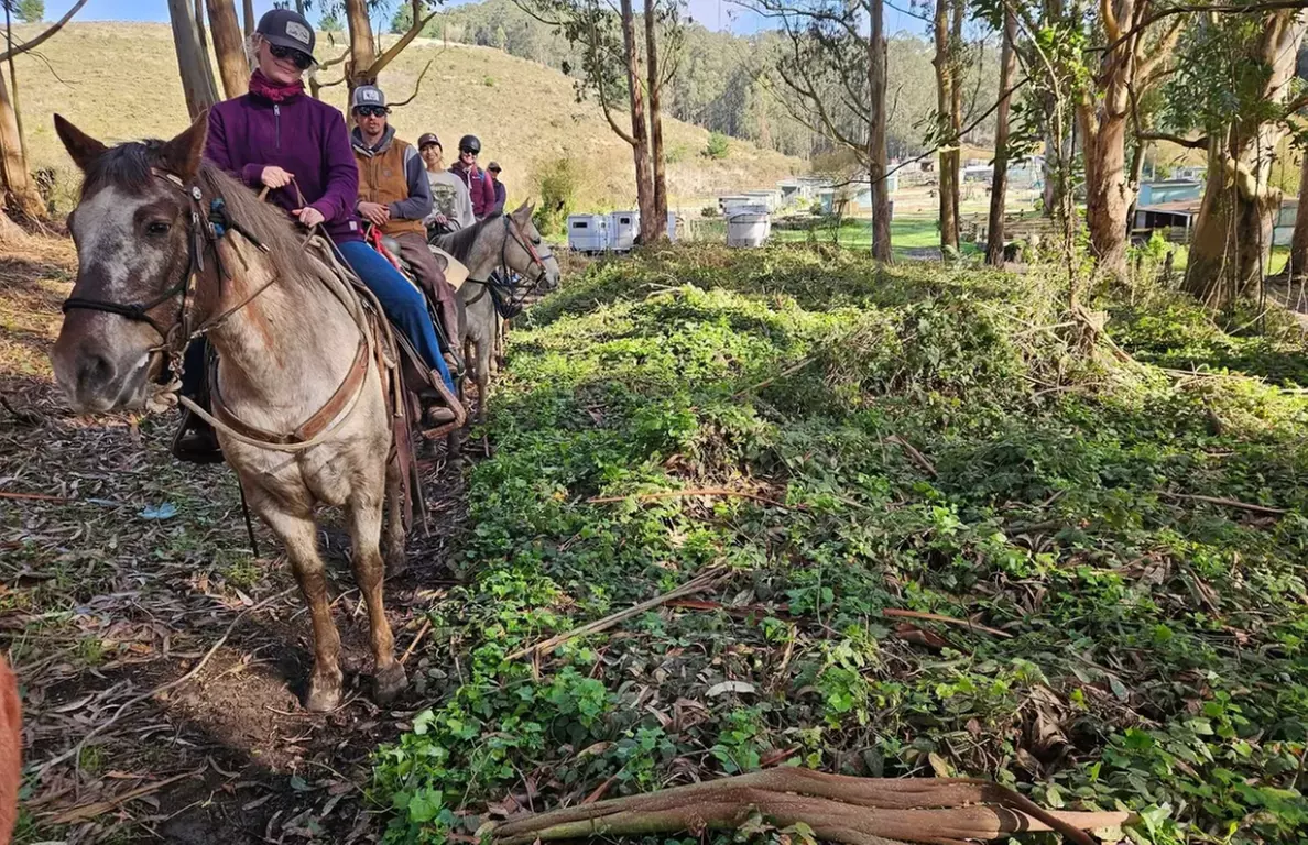 Horse Back Riding Lessons for 1-4 People w/ Experts in Moss Beach, CA