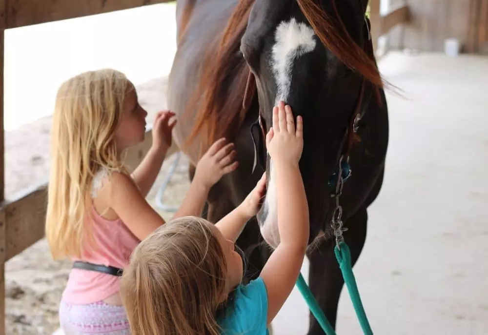 Up to 54% Off on Horse Back Riding at Horseback experiences with Victoria - Primary Image