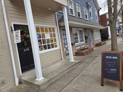 One 60-Minute Reiki Session with downloads - Barefoot and Grounded