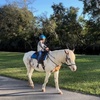 Image 3: Up to 51% Off on Horse Back Riding at WB Family Ranch