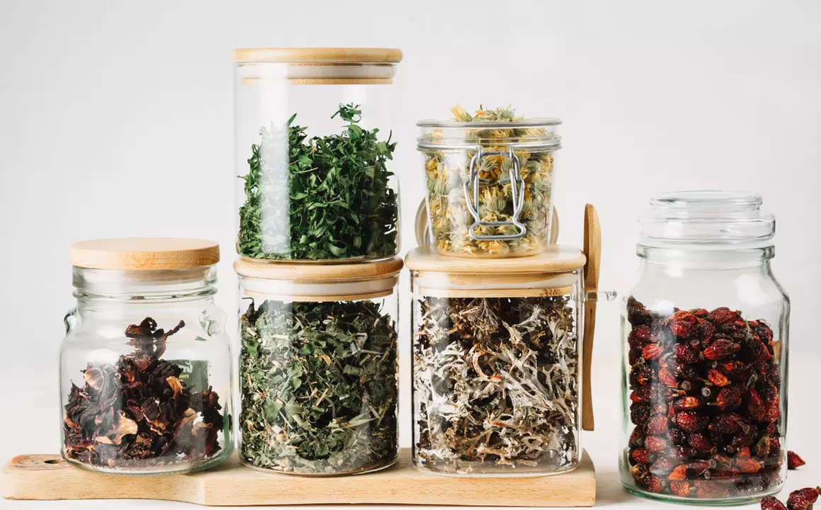 Foundations of Herbalism or Lifetime Membership to 2000+ Online Courses from Training Express (Up to 35% Off) - Primary Image