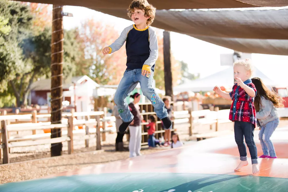 Two or Four Tickets to Dave's Pumpkin Patch (Up to 40% Off) - Second Medium