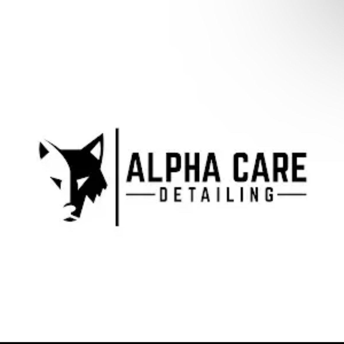 Sparkling Hand Wash for your Car, Pickup, SUV or Minivan