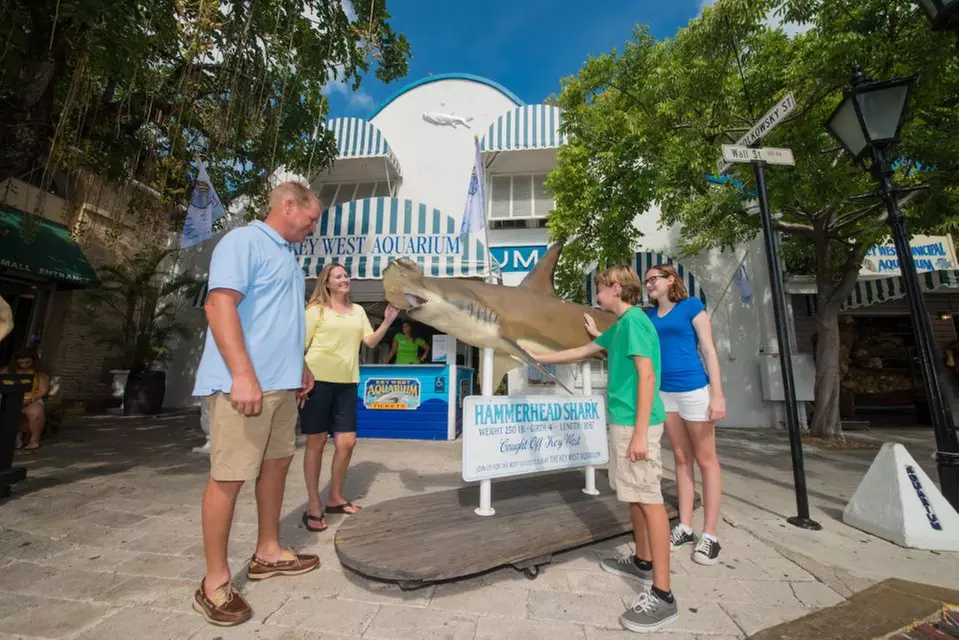 Up to 29% Off on Aquarium Visit at Key West Aquarium - Second Medium