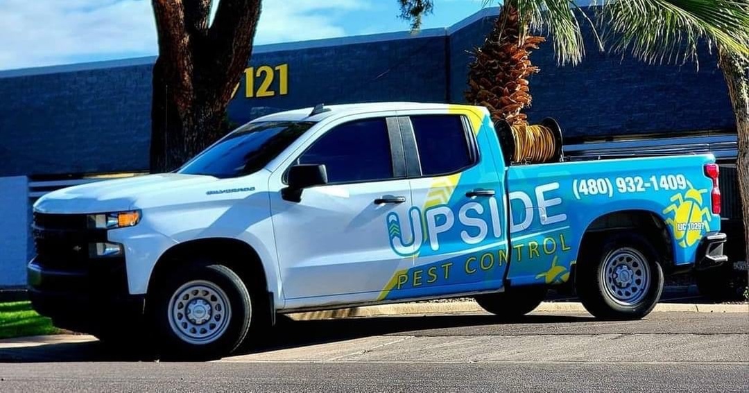 Exterior and interior pest control treatment plus termite inspection