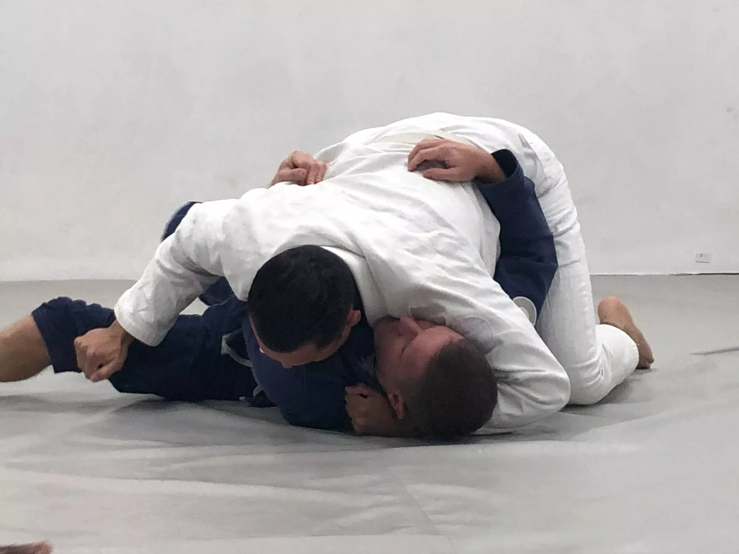 Up to 72% Off on Martial Arts Training at Carlson Gracie Team San Diego - Primary Image
