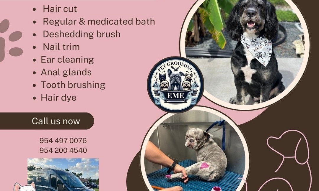 Mobile Grooming or Bathing Services for Small, Medium, or Large Dogs by EME Pet Grooming (Up to 61% Off) - Second Medium