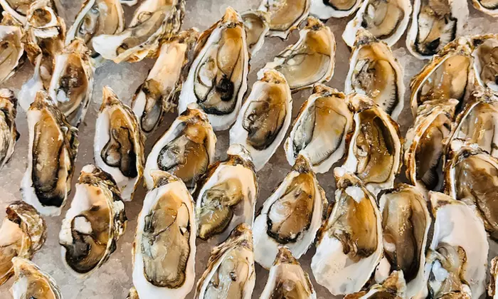 5* Saturday brunch with Soft or House Beverages for 1, 2, or 4 Adults