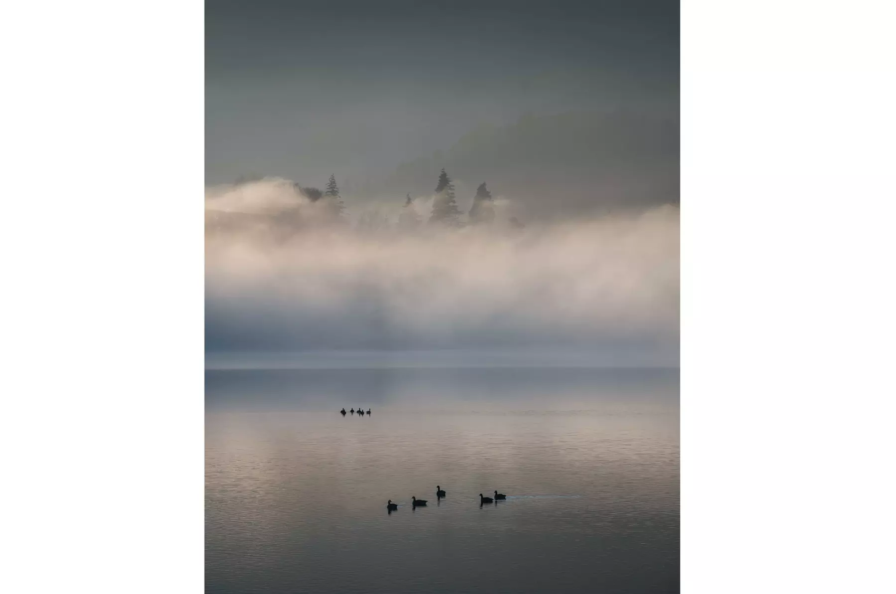 Up to 50% Off on Tour - Photography at Joe D'Ambra Photography