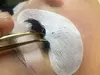 Up to 54% Off on Eyebrow Extensions at Sunshine Lash Co