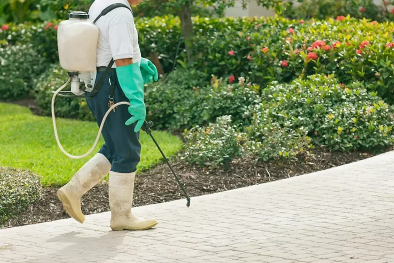 Up to 44% Off on Fertilization Service at Yard and Home Services - Primary Image