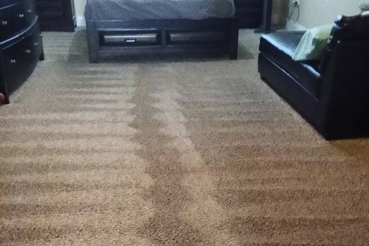 Enhance Comfort with Carpet Cleaning for 2, 3, or 4 Rooms