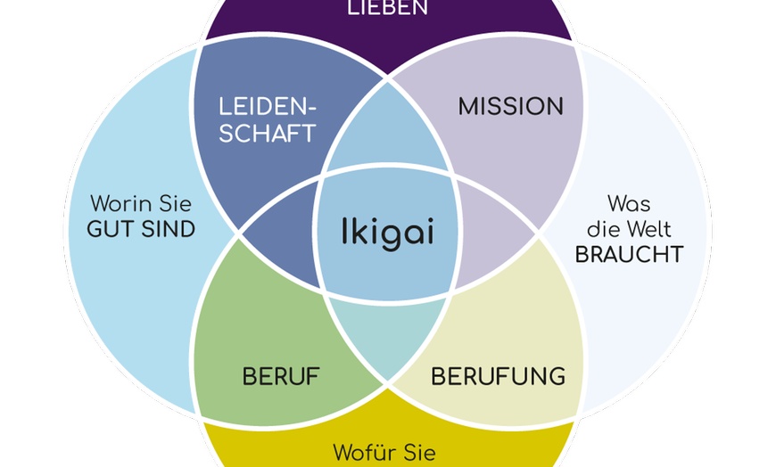 Image 1: Online Coaching bei Marc Lustig IKIGAI Coaching