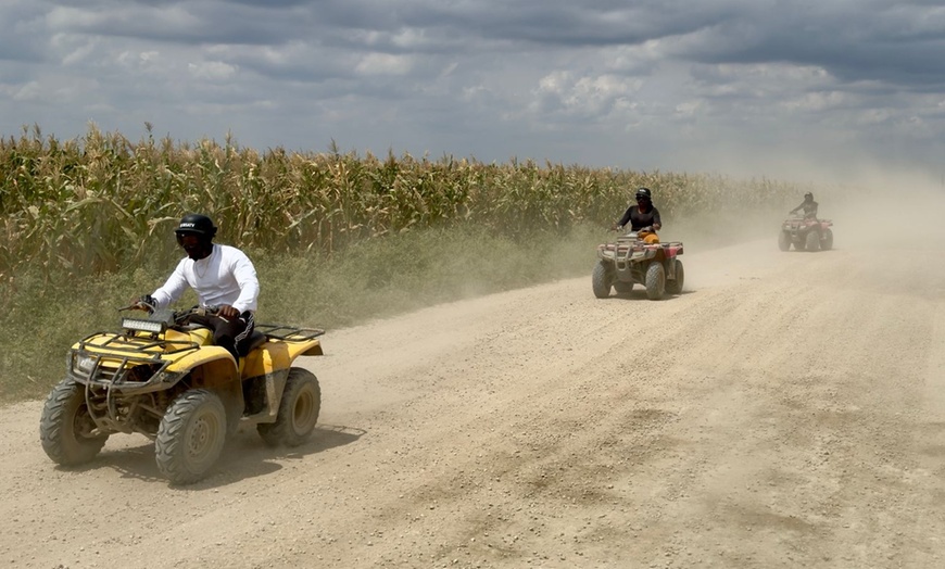 Image 8: Off-Road Adrenaline — One ATV or 2- or 4-Seater Buggy 