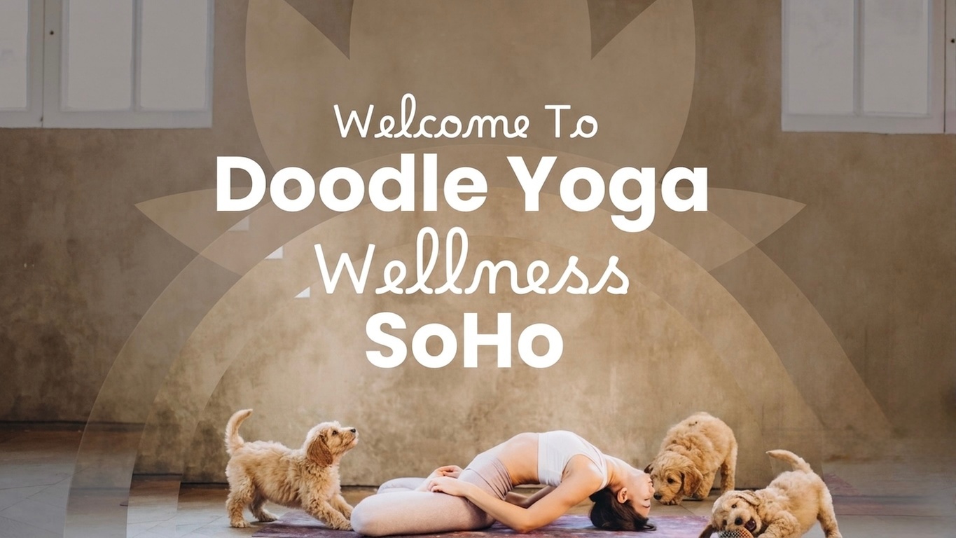 Doodle Yoga: Gentle Yoga & Playful Goldendoodles in SoHo, NY