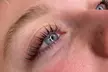Revitalize with One Eyelash Lift Treatment with Optional Tinting Service at Silk & Sugar (Up to 45% Off) - Second Medium