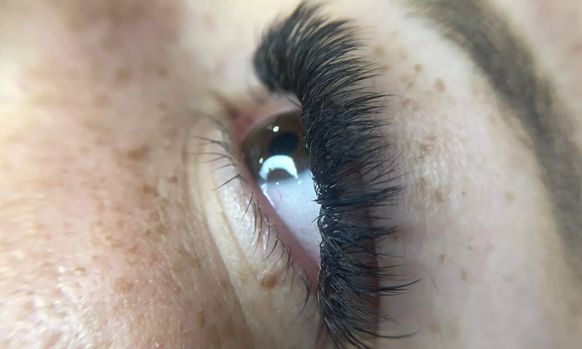 Up to 30% Off on Eyelash Extensions at Brown Sugar Beauty