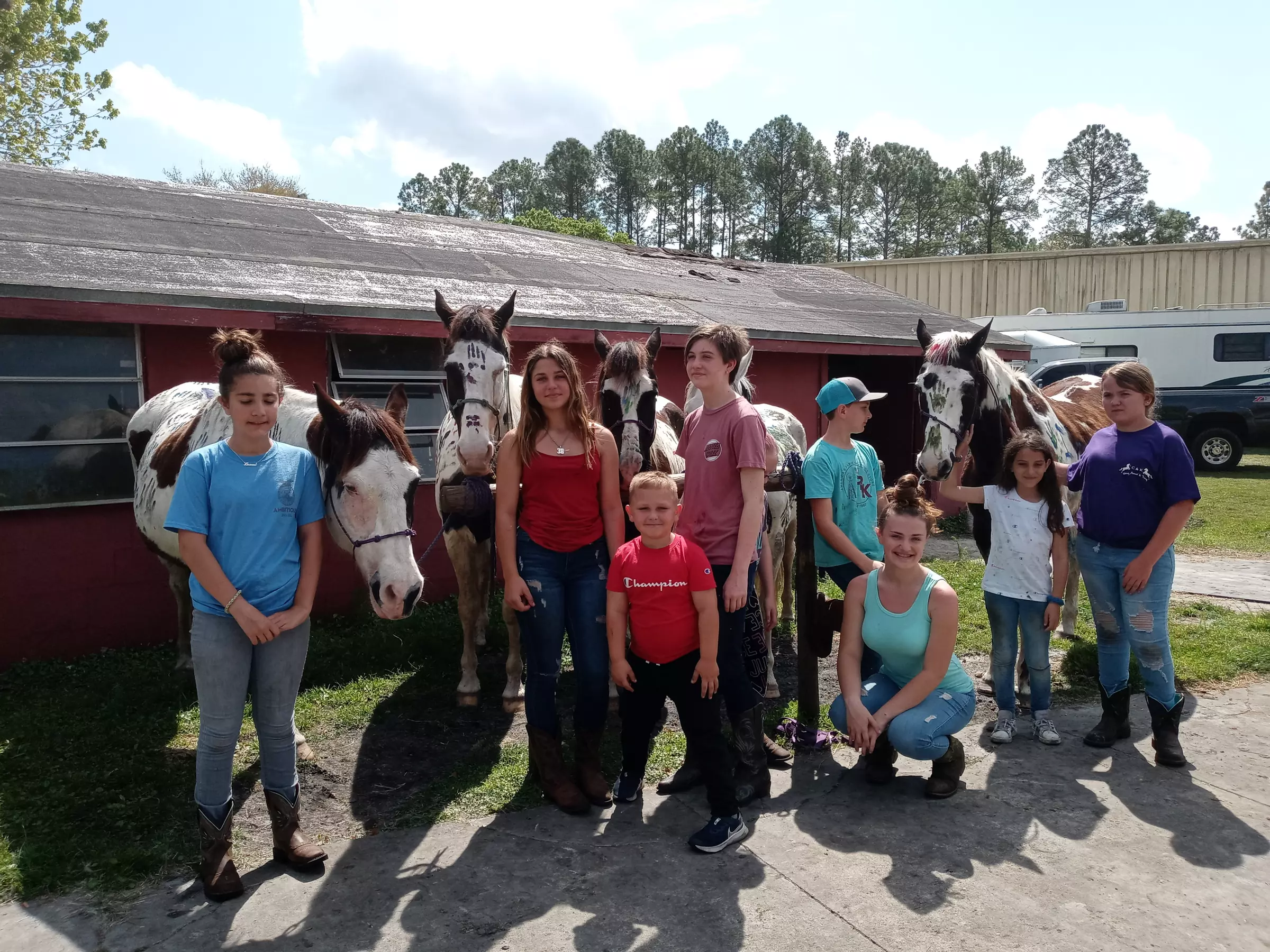 Enjoy up to 20% off on a range of horseback riding lessons at Stormy's Stables, from individual to couples experiences - Primary Image